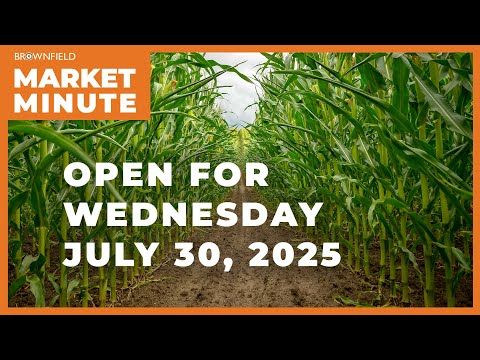 Corn is up Wednesday morning | Opening Market Minute cover art