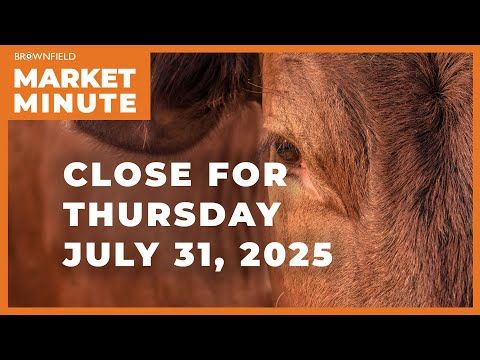 Cattle dropped sharply Thursday | Closing Market Minute cover art