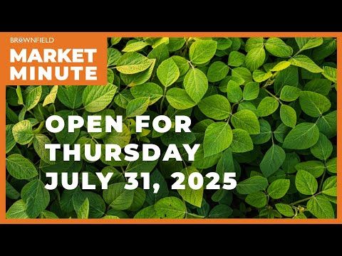 Soybeans are starting Thursday's session lower | Opening Market Minute cover art