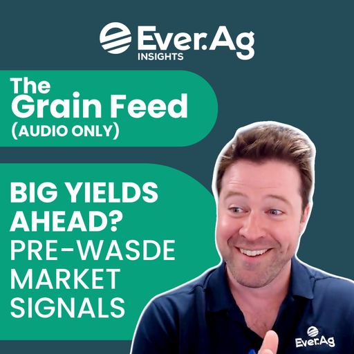 The Grain Feed (AUDIO ONLY): Big Yields Ahead? Pre-WASDE Market Signals - July 30, 2025 cover art