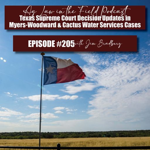 Episode #205: Jim Bradbury (Texas Supreme Court Decision Updates in Myers-Woodward & Cactus Water Services cases) cover art
