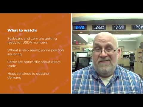 Cattle are higher Monday | Opening Market Minute