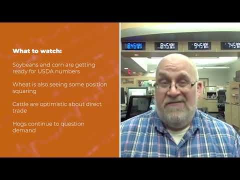 Cattle are higher Monday | Opening Market Minute cover art