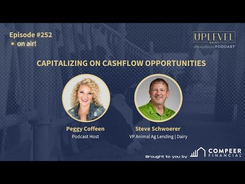 252 | Capitalizing on Cashflow Opportunities cover art