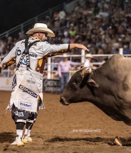 480 Chuck Swisher Bullfighter (Oklahoma) cover art