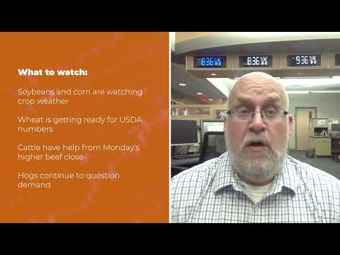Cattle are up Tuesday morning | Opening Market Minute