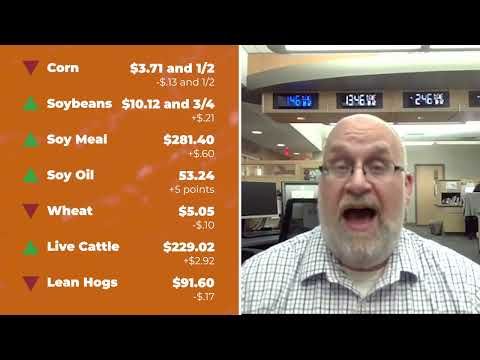 Cattle futures were sharply higher Tuesday | Closing Market Minute cover art