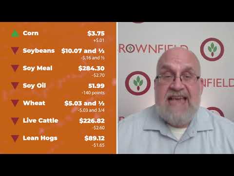 Cattle fell sharply Thursday | Closing Market Minute