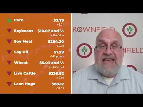 Cattle fell sharply Thursday | Closing Market Minute cover art