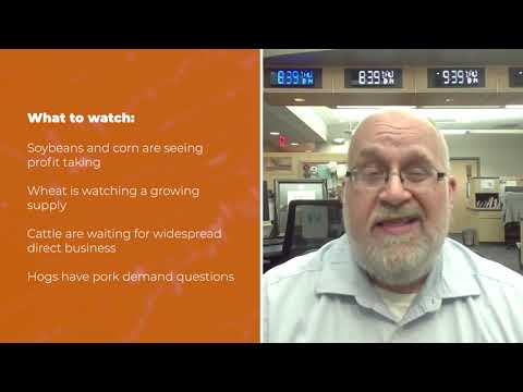 Cattle opened lower Thursday | Opening Market Minute