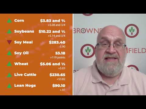 Cattle ended Friday's session sharply higher | Closing Market Minute