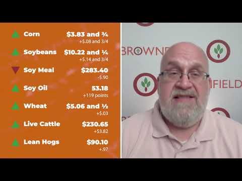 Cattle ended Friday's session sharply higher | Closing Market Minute cover art