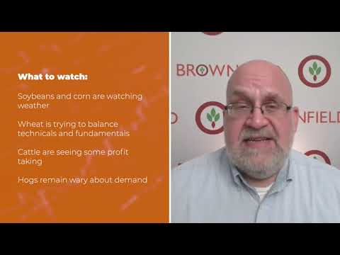 Soybeans are starting the week lower | Opening Market Minute