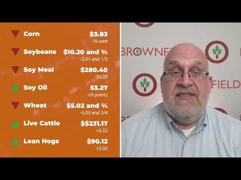 Cattle closed higher Monday | Closing Market Minute cover art