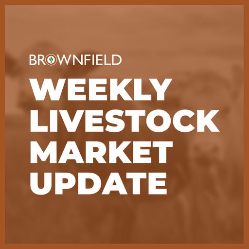Cattle futures up sharply again this week | Weekly Livestock Market Update cover art