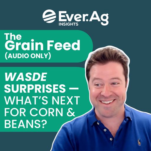 The Grain Feed (AUDIO ONLY): WASDE Surprises—What's Next for Corn & Beans? - August 18, 2025 cover art