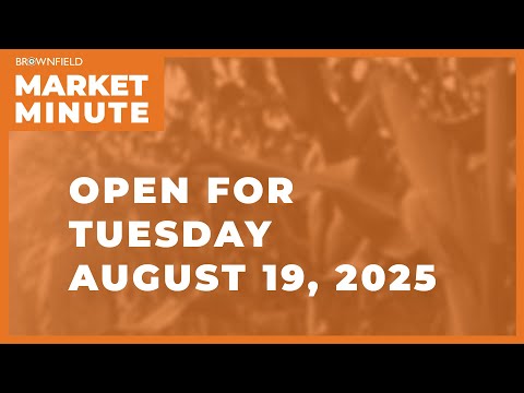 Soybeans are lower Tuesday morning | Opening Market Minute