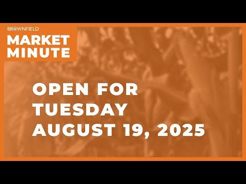 Soybeans are lower Tuesday morning | Opening Market Minute cover art