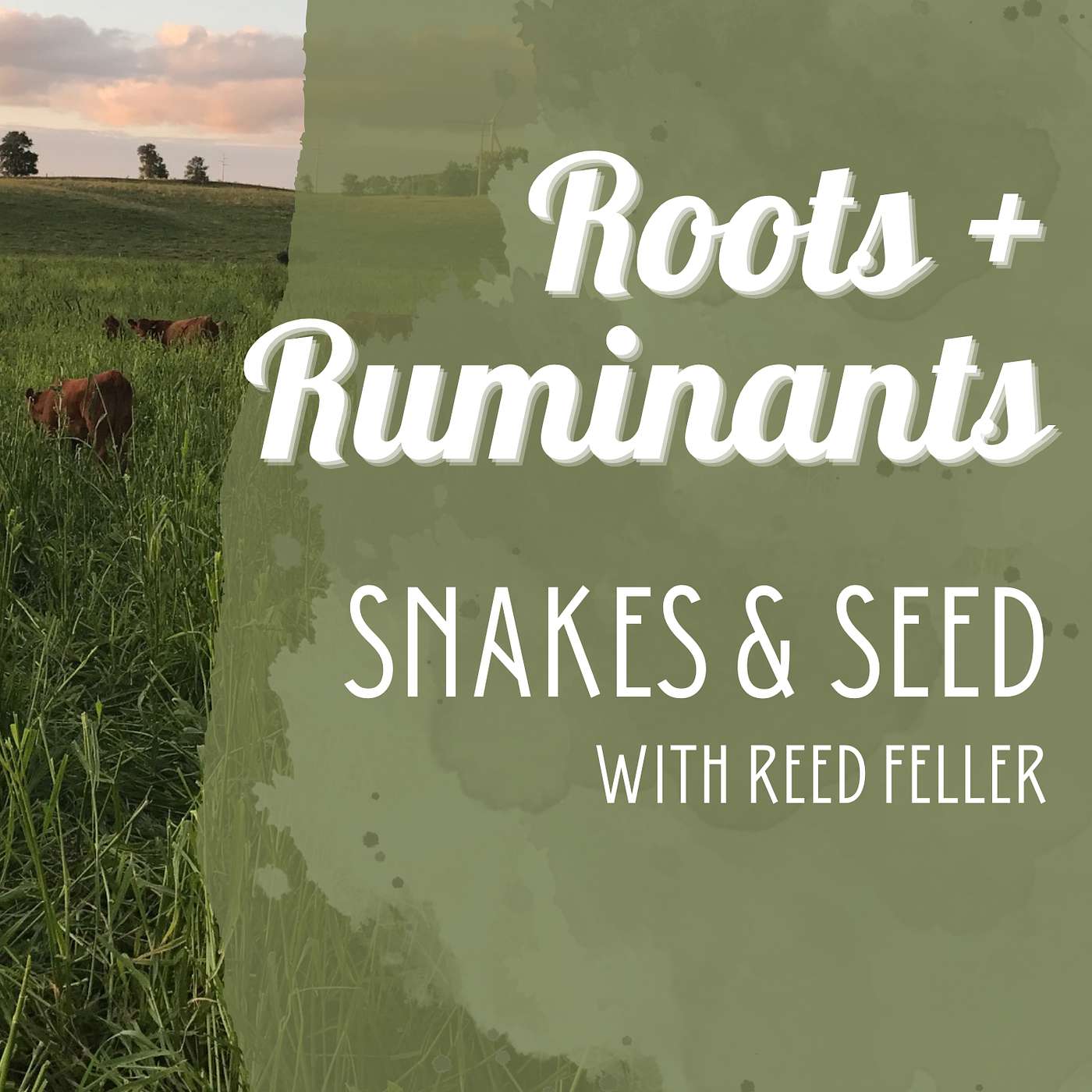 Snakes & Seed with Reed Feller cover art