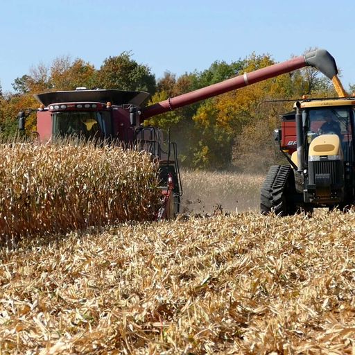 2025 Fall fertilizer outlook: Management tips during economic uncertainty cover art