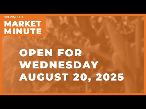 Cattle are higher early Wednesday | Opening Market Minute