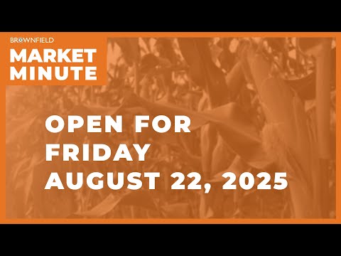Hogs are mostly higher Friday | Opening Market Minute