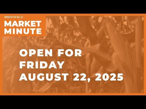 Hogs are mostly higher Friday | Opening Market Minute cover art