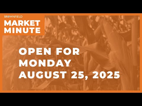 Cattle are sharply lower Monday morning | Opening Market Minute