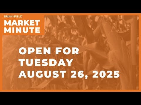 Cattle are higher Tuesday morning | Opening Market Minute cover art