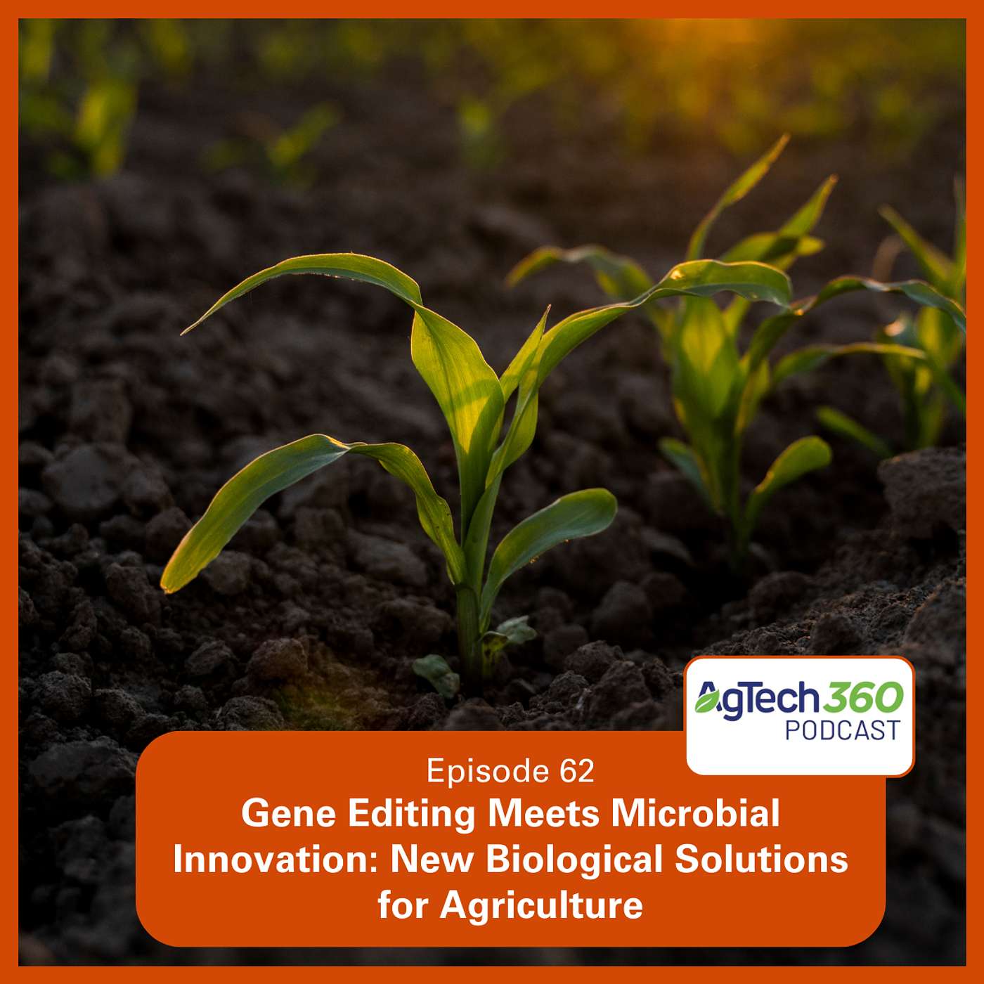 Microbial Innovation Meets Gene Editing: New Biological Solutions for Agriculture cover art