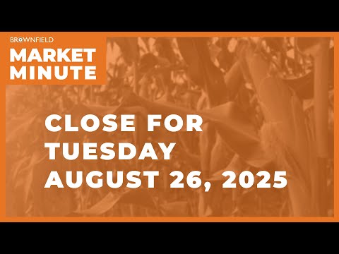 Cattle were sharply higher Tuesday | Closing Market Minute