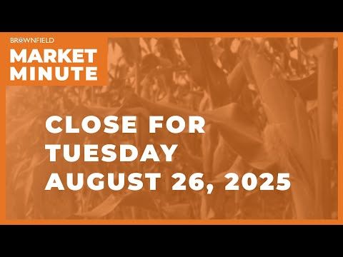 Cattle were sharply higher Tuesday | Closing Market Minute cover art