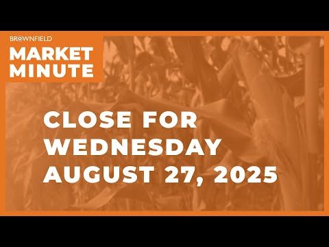 Cattle closed higher at midweek | Closing Market Minute cover art