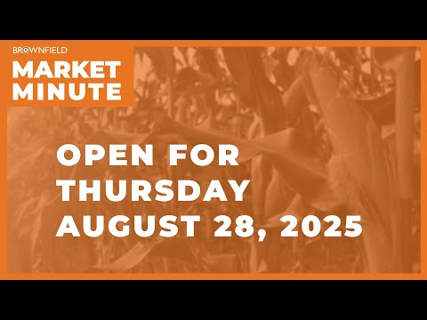 Cattle are mixed Thursday morning | Opening Market Minute