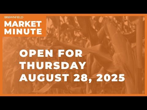 Cattle are mixed Thursday morning | Opening Market Minute cover art
