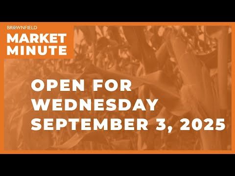 Cattle lower to start the day | Opening Market Minute cover art