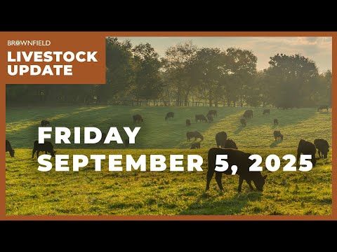 Beef exports drop nearly 19% | Weekly Livestock Market Update cover art