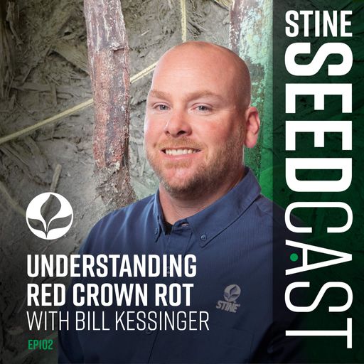 Understanding Red Crown Rot With Bill Kessinger cover art