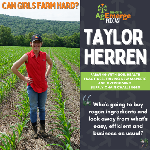 AgEmerge Podcast 170 with Taylor Herren cover art
