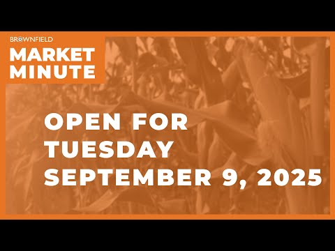 Cattle are lower Tuesday morning | Opening Market Minute