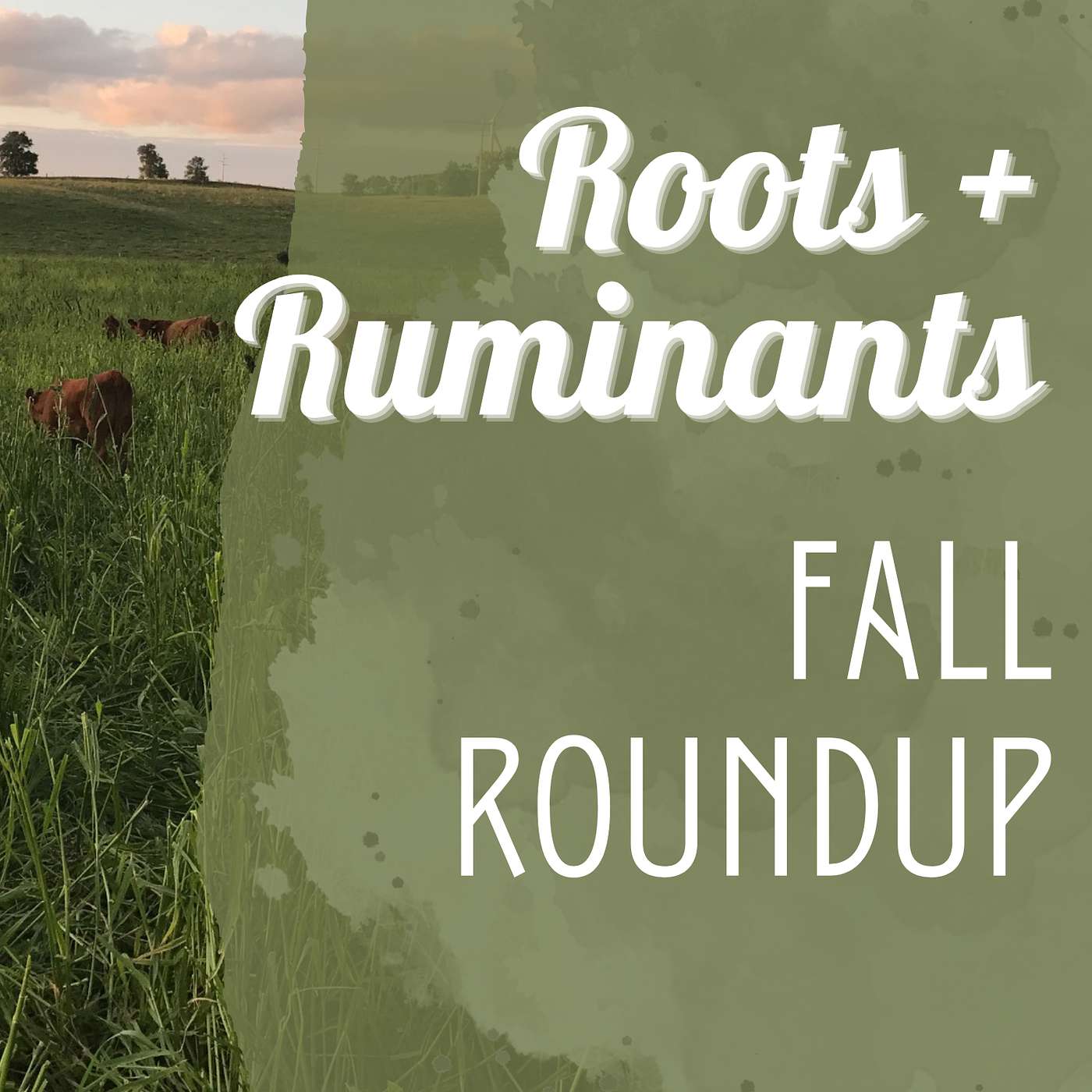 Fall Roundup  cover art