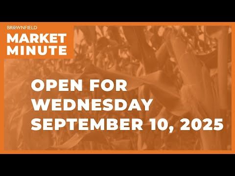 Cattle are lower Wednesday morning | Opening Market Minute cover art