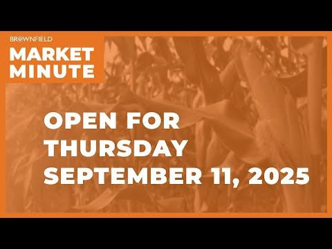 Cattle are mixed Thursday morning | Opening Market Minute cover art