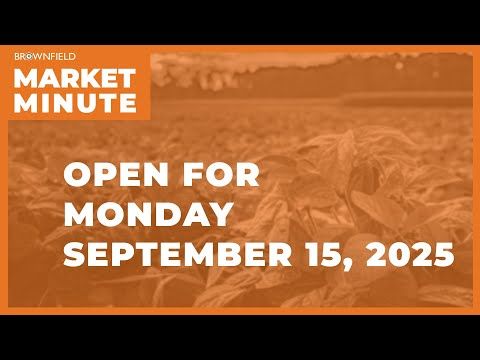 Cattle started Monday higher | Opening Market Minute cover art