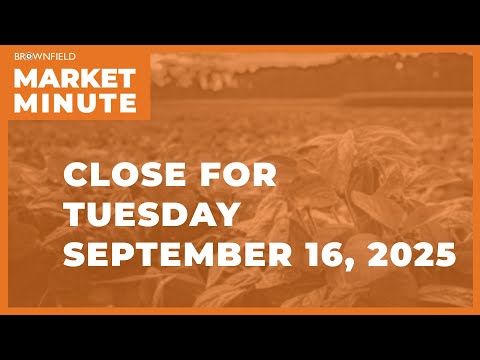 Cattle closed lower Tuesday | Closing Market Minute cover art