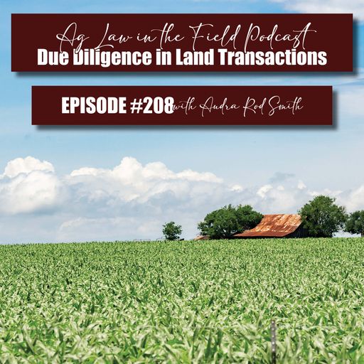 Episode #208: Audra Rod Smith (Due Diligence in Land Transactions) cover art