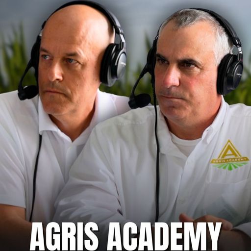 No Silver Bullets, Just Better Skills: Grain Marketing cover art