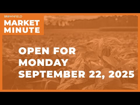 Cattle are higher Monday morning | Opening Market Minute