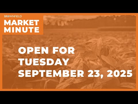 Cattle are higher Tuesday morning | Opening Market Minute