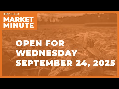 Cattle are lower Wednesday morning | Opening Market Minute